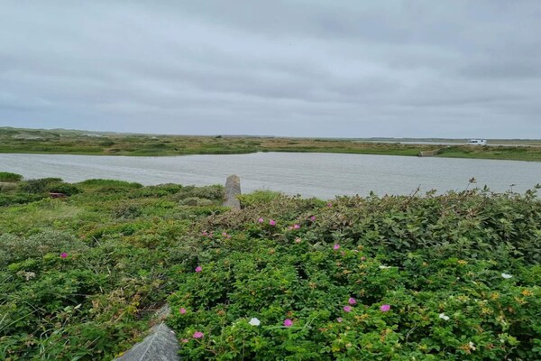 Foto van Kustsereniteit in Nymindegab-By Traum - Vakantiehuis in Nørre Nebel - WaterView