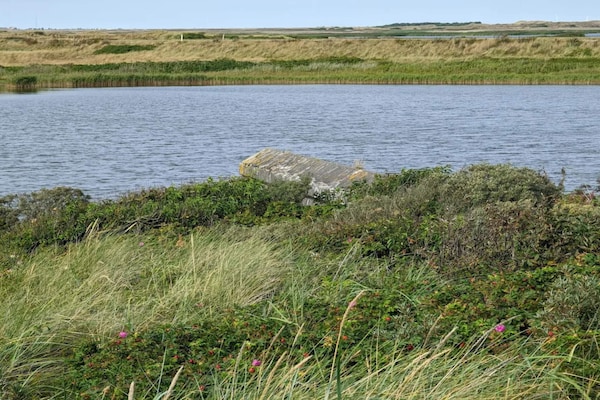 Foto van Kustsereniteit in Nymindegab-By Traum - Vakantiehuis in Nørre Nebel - WaterView