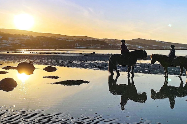 Foto van 6 persoons vakantie huis in Hamnvik - Vakantiehuis in Hamnvik - Outdoor
