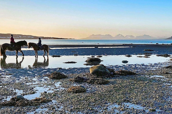 Foto van 6 persoons vakantie huis in Hamnvik - Vakantiehuis in Hamnvik - Outdoor