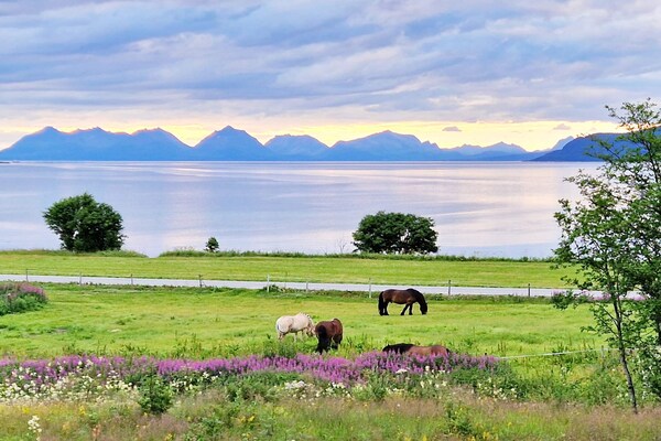 Foto van 6 persoons vakantie huis in Hamnvik - Vakantiehuis in Hamnvik - Untagged