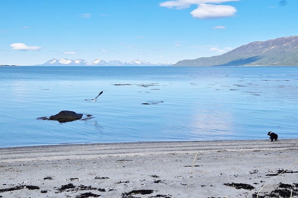 Foto van 6 persoons vakantie huis in Hamnvik - Vakantiehuis in Hamnvik - Untagged