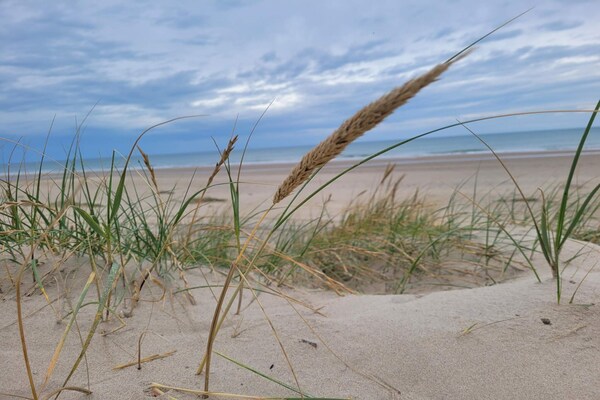 Foto van 6 persoons vakantie huis in Strandby - Vakantiehuis in Strandby - Untagged