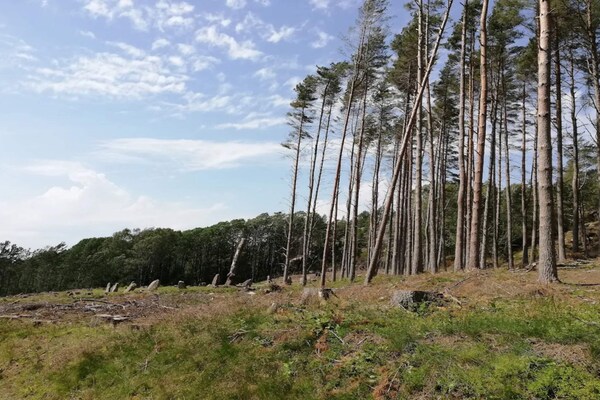Foto van 6 persoons vakantie huis in Fjällbacka - Vakantiehuis in Fjällbacka - Untagged