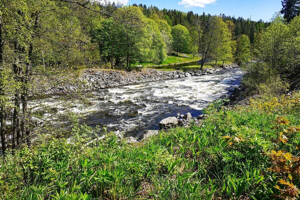 Foto van 8 persoons vakantie huis in BILLINGSFORS - Vakantiehuis in BILLINGSFORS - View
