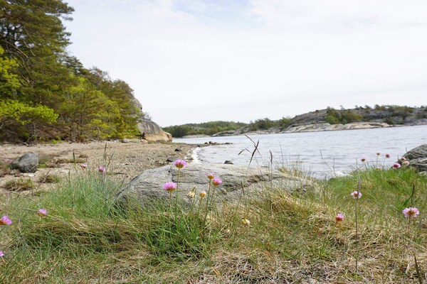 Foto van Rustig toevluchtsoord aan de kust op Oddo - Vakantiehuis in STRÖMSTAD - Untagged