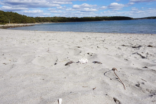 Foto van Rustig toevluchtsoord aan de kust op Oddo - Vakantiehuis in STRÖMSTAD - Untagged