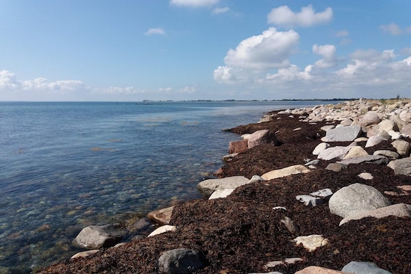 Foto van Gezellig toevluchtsoord in Skovmose - Vakantiehuis in Sydals - WaterView