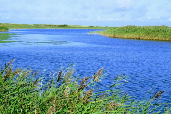 Foto van 6 persoons vakantie huis in Hemmet - Vakantiehuis in Hemmet - WaterView