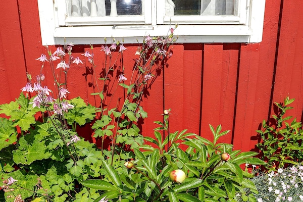 Foto van 6 persoons vakantie huis in Slöinge - Vakantiehuis in Slöinge - Outdoor