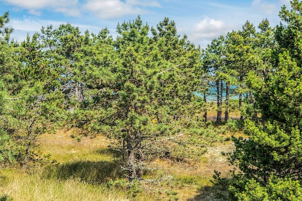 Foto van Kustsereniteit in Fjellerup-By Traum - Vakantiehuis in Glesborg - View