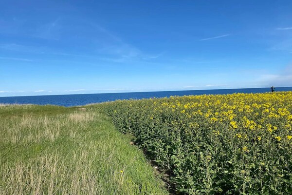 Foto van 7 persoons vakantie huis in Grenaa - Vakantiehuis in Grenaa - WaterView