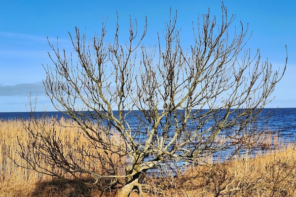 Foto van 6 persoons vakantie huis in Tarm - Vakantiehuis in Tarm - WaterView