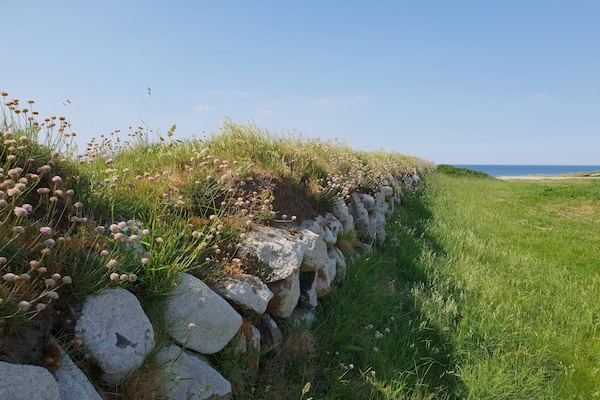 Foto van Rustig huisje toevluchtsoord in Lokken-By Traum - Vakantiehuis in Løkken - Outdoor