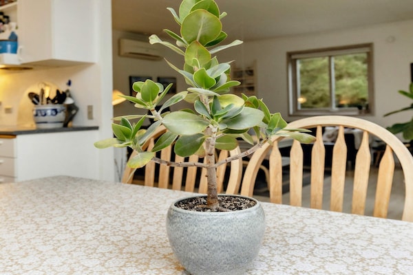 Foto van Afgelegen bosparadijs-By Traum - Vakantiehuis in Løkken - Indoor