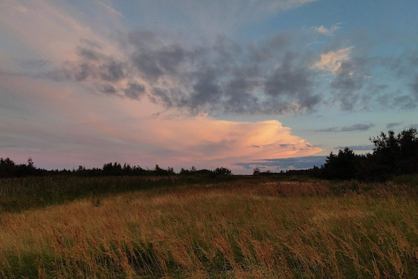 Foto van Lichte huisje bij de Lagune-By Traum - Vakantiehuis in Hals - Untagged