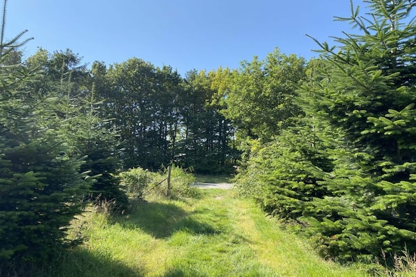 Foto van 8 persoons vakantie huis in Hadsund - Vakantiehuis in Hadsund - Untagged