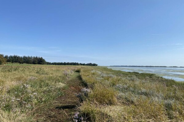 Foto van 8 persoons vakantie huis in Hadsund - Vakantiehuis in Hadsund - Untagged