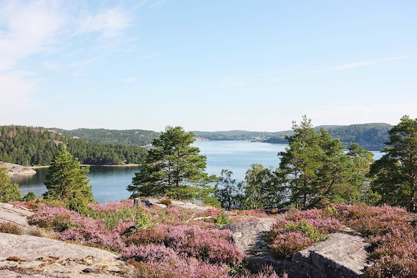 Foto van Kustsereniteit ontsnapping-By Traum - Vakantiehuis in HENÅN - Untagged