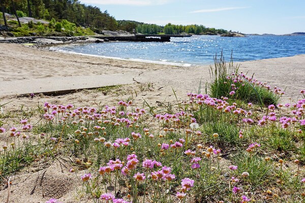 Foto van 6 persoons vakantie huis in STRÖMSTAD - Vakantiehuis in STRÖMSTAD - View