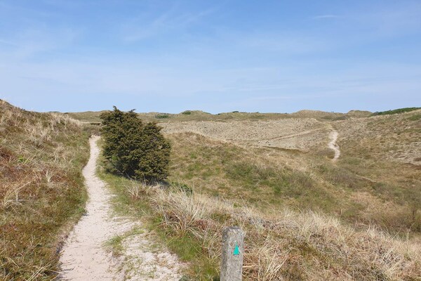 Foto van 6 persoons vakantie huis in Bindslev - Vakantiehuis in Bindslev - Untagged