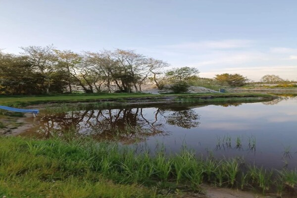 Foto van Rustiek toevluchtsoord bij Hemmet Strand-By Traum - Vakantiehuis in Hemmet - WaterView