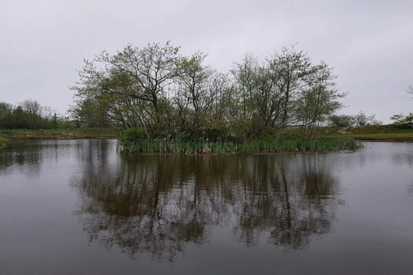 Foto van Rustiek toevluchtsoord bij Hemmet Strand-By Traum - Vakantiehuis in Hemmet - WaterView