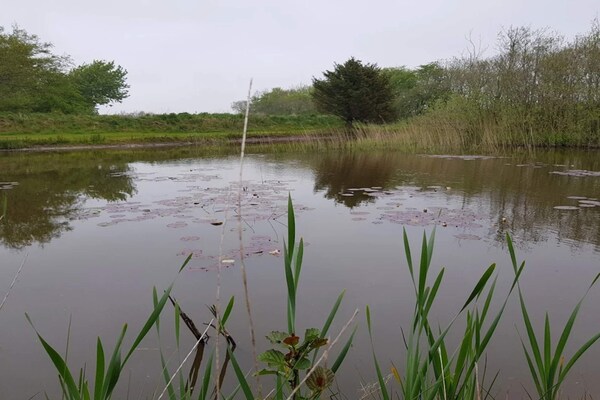 Foto van Rustiek toevluchtsoord bij Hemmet Strand-By Traum - Vakantiehuis in Hemmet - WaterView