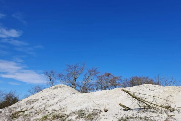 Foto van Rustiek toevluchtsoord bij Hemmet Strand-By Traum - Vakantiehuis in Hemmet - Untagged