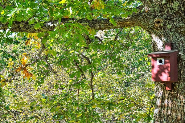 Foto van 8 persoons vakantie huis in HENÅN - Vakantiehuis in HENÅN - View