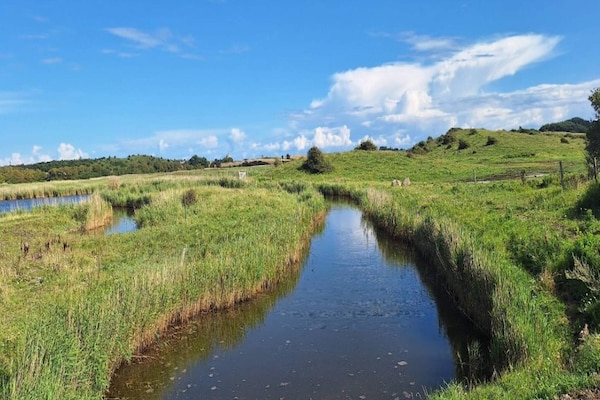 Foto van Kustcharme in Ristinge-By Traum - Vakantiehuis in Humble - Outdoor