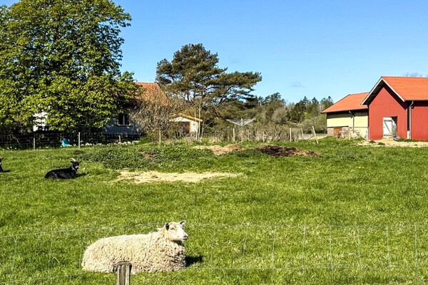 Foto van Vakantiehuis aan zee bij Gullmarsfjord - Vakantiehuis in BRASTAD - Outdoor