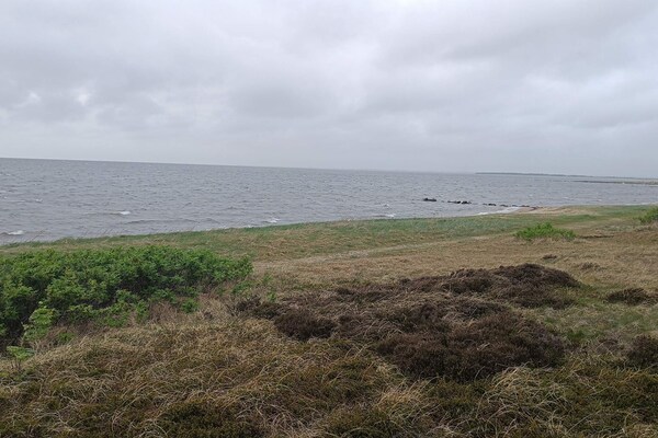 Foto van Kustsereniteit bij Skaven Strand-By Traum - Vakantiehuis in Tarm - WaterView