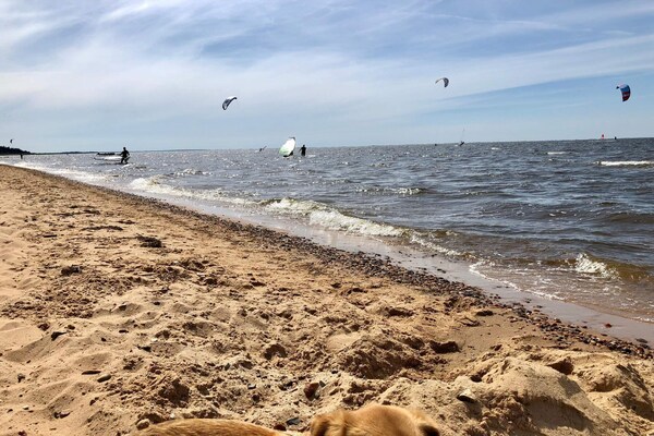 Foto van Kustsereniteit bij Skaven Strand-By Traum - Vakantiehuis in Tarm - WaterView
