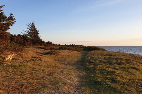 Foto van Kustsereniteit bij Skaven Strand-By Traum - Vakantiehuis in Tarm - Untagged