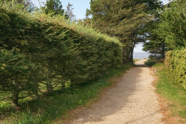 Foto van Kustsereniteit bij Skaven Strand-By Traum - Vakantiehuis in Tarm - View