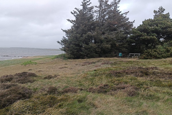 Foto van Kustsereniteit bij Skaven Strand-By Traum - Vakantiehuis in Tarm - Untagged