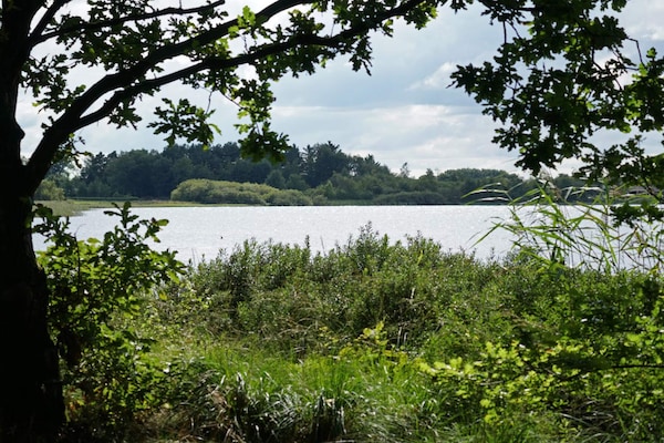 Foto van Luxe Meerzijde Toevluchtsoord-By Traum - Vakantiehuis in Ansager - WaterView