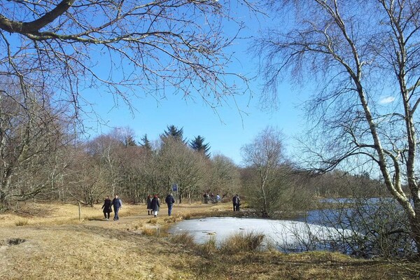 Foto van Luxe Meerzijde Toevluchtsoord-By Traum - Vakantiehuis in Ansager - WaterView