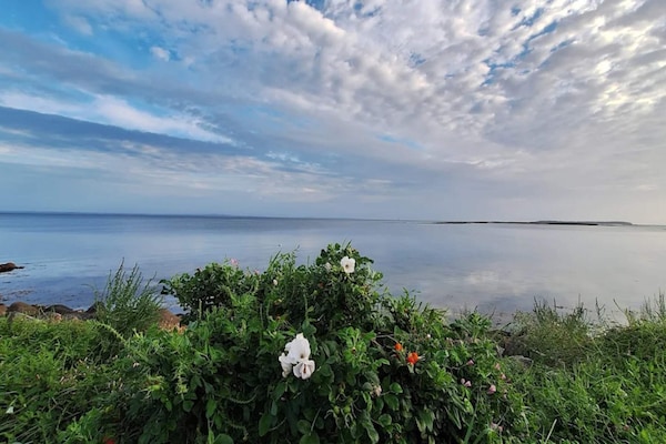 Foto van Rustig vakantiehuisje-By Traum - Vakantiehuis in Bogense - WaterView