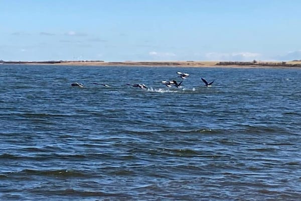 Foto van Gezellige Kusthut Rustplaats-By Traum - Vakantiehuis in Hurup Thy - WaterView
