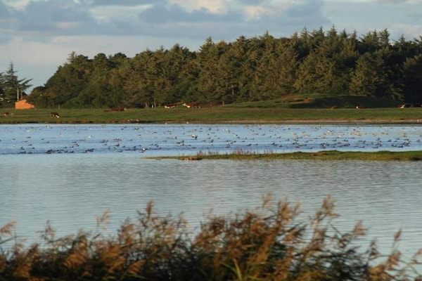 Foto van Gezellige Kusthut Rustplaats-By Traum - Vakantiehuis in Hurup Thy - WaterView