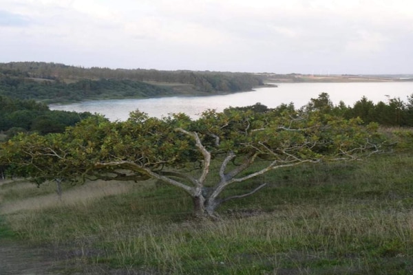 Foto van Gezellige Kusthut Rustplaats-By Traum - Vakantiehuis in Hurup Thy - Untagged
