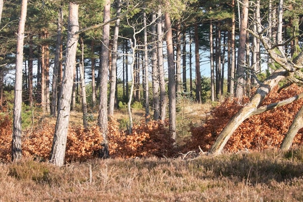Foto van Gezellige Blokhut Toevluchtsoord-By Traum - Vakantiehuis in Oksbøl - Untagged