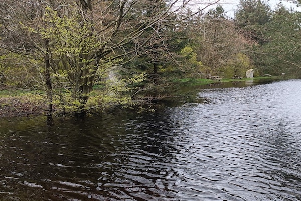 Foto van Gezellige Blokhut Toevluchtsoord-By Traum - Vakantiehuis in Oksbøl - WaterView