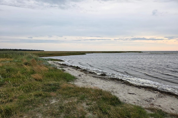 Foto van Zeezijde oase met tuin-By Traum - Vakantiehuis in Hadsund - WaterView