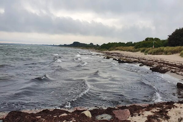 Foto van 12 persoons vakantie huis in Væggerløse - Vakantiehuis in Væggerløse - WaterView