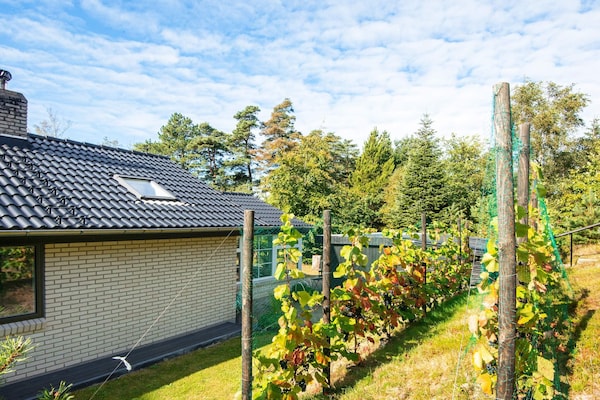 Foto van Rustig strandverblijf-By Traum - Vakantiehuis in Hemmet - View