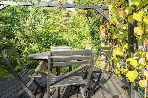 Foto van Rustig strandverblijf-By Traum - Vakantiehuis in Hemmet - View