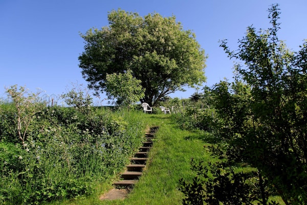 Foto van 6 persoons vakantie huis in Knebel - Vakantiehuis in Knebel - Untagged